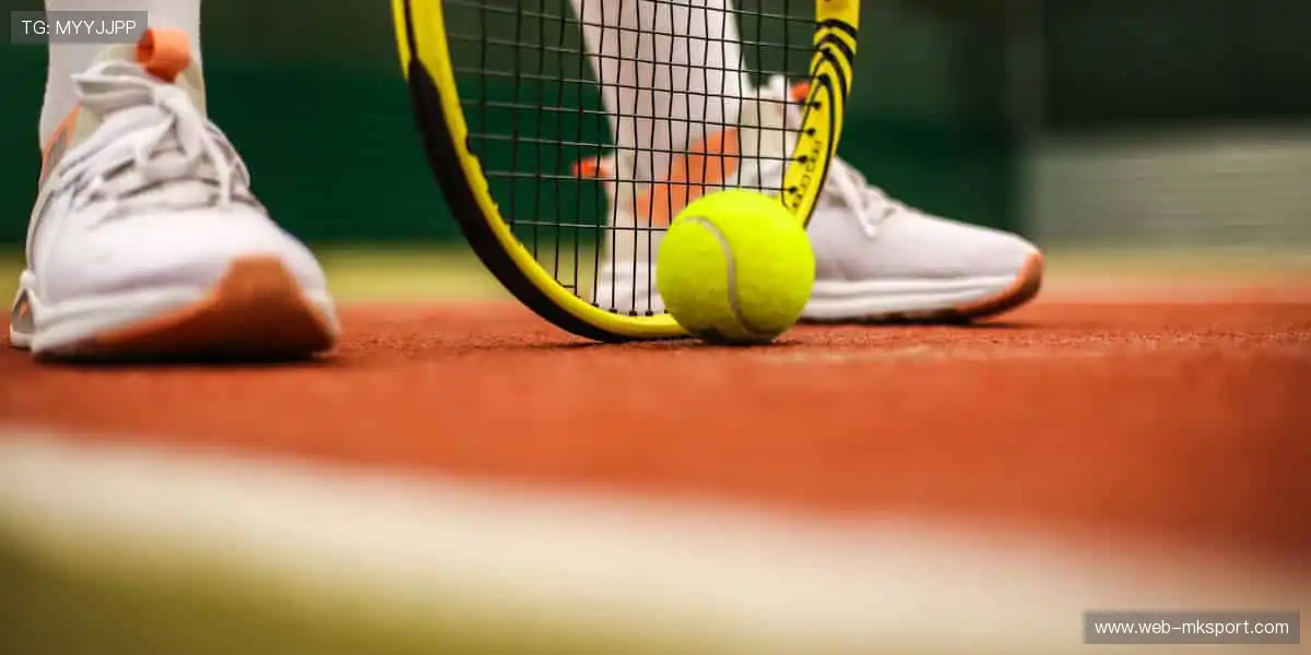 👟潮流装备，个性定制！从球鞋到球衣，打造专属你的运动风格！🎾